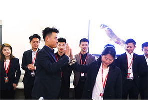 山東鼎基信息技術(shù) 深耕臨沂網(wǎng)站建設(shè)與網(wǎng)絡(luò)推廣，助力企業(yè)實(shí)現(xiàn)數(shù)字化騰飛